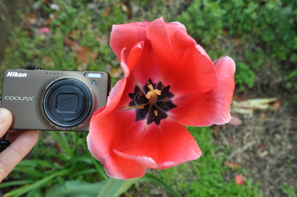 COOLPIX　が小さく見えるほどです