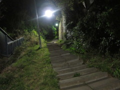 この先はどうなってる？