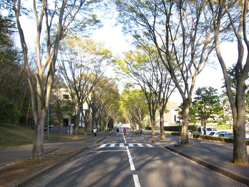 夢のキャンパスライフ？