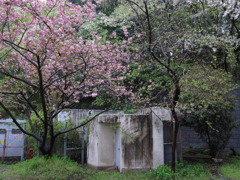 廃屋