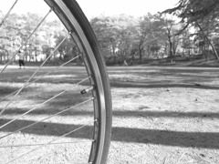 懐かしい公園