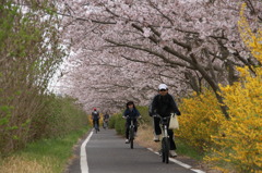 200快適