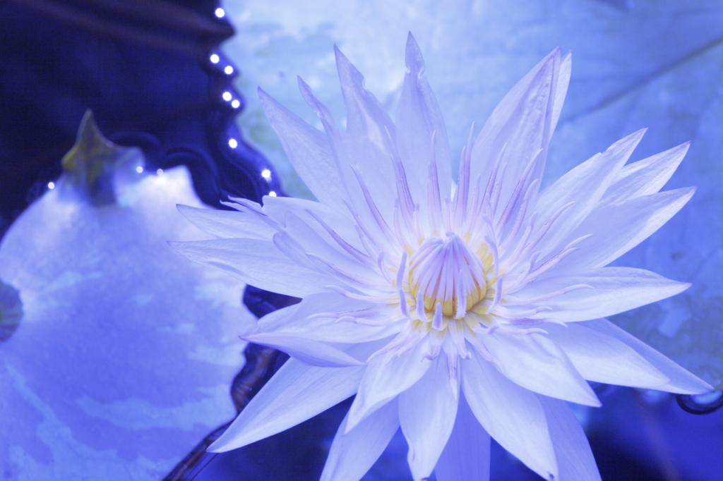 華水晶