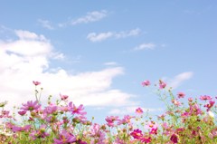 空に向かって