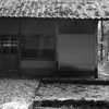 平泉寺白山神社秋雨