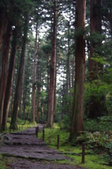 平泉寺白山神社境内