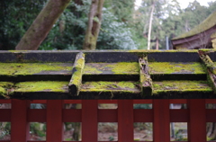 歴史の色彩