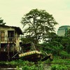 Bangkok