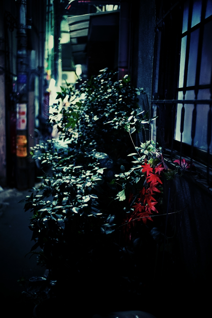 高円寺