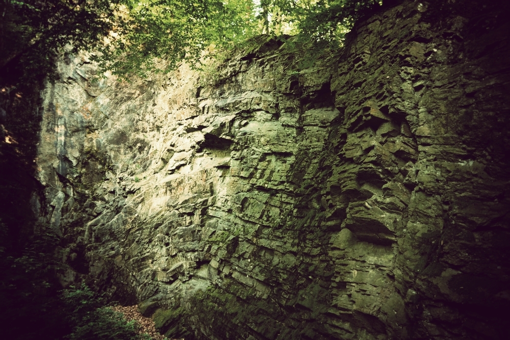 Neanderthal
