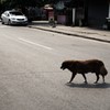 Vientiane, Laos