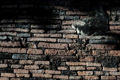 Ayutthaya06