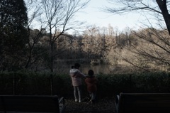 石神井公園