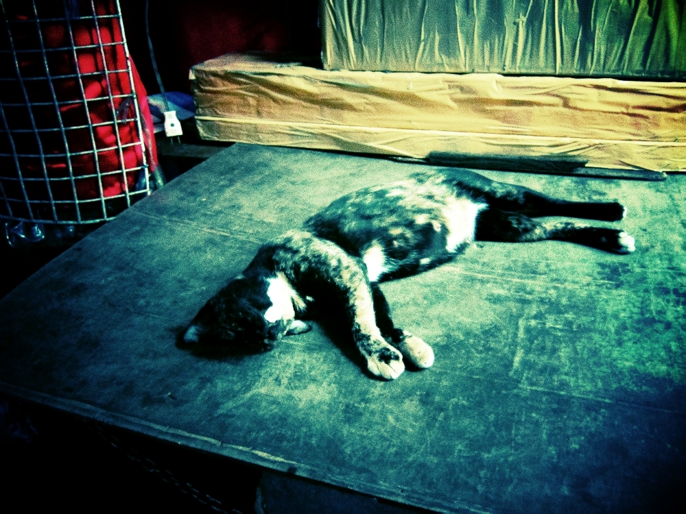 バンコック