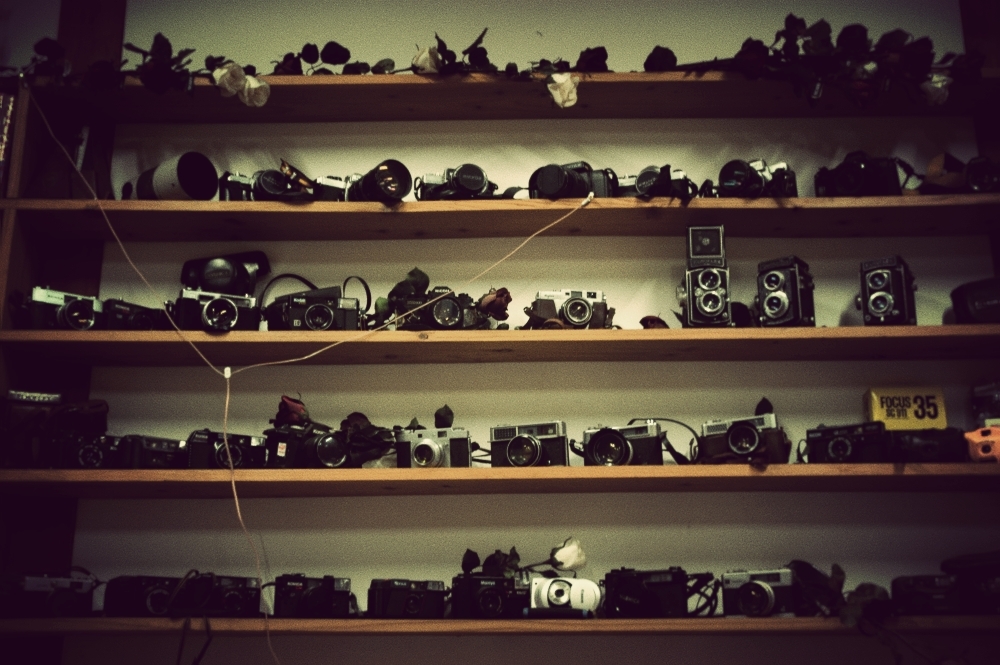 collection
