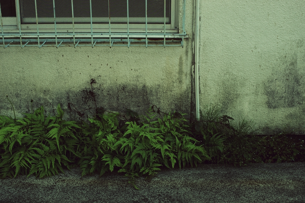 練馬