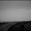 野島崎