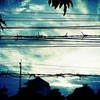 sky