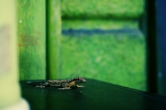 Bangkok