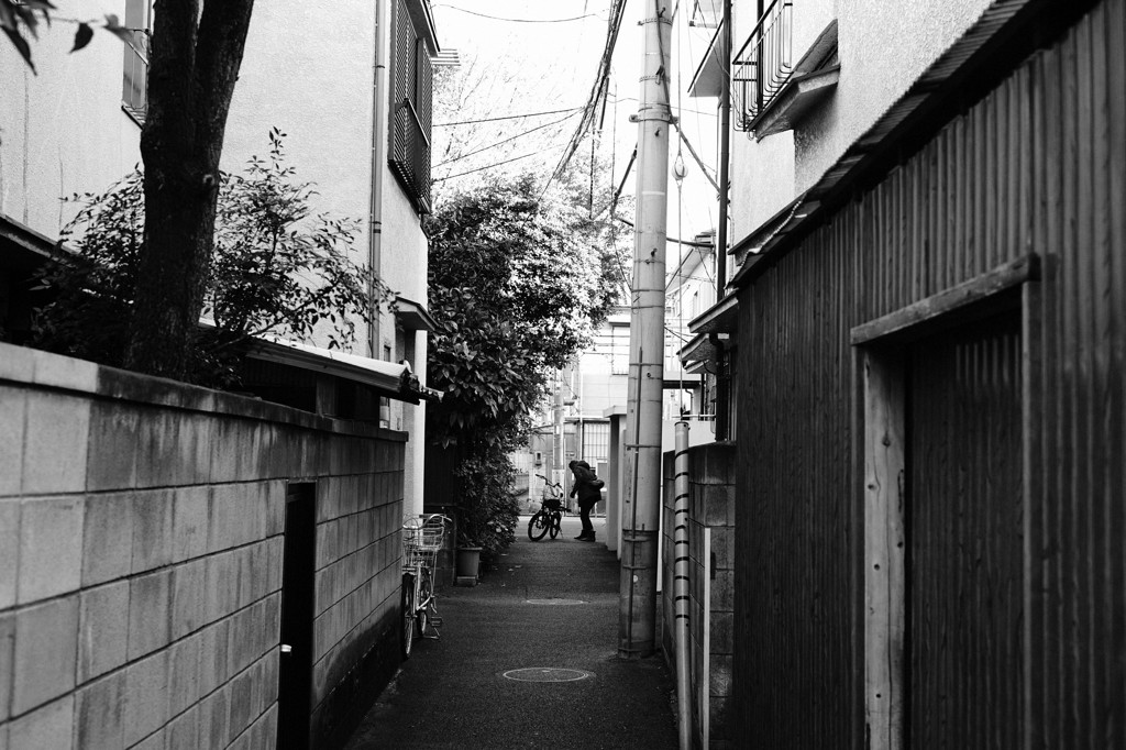根津