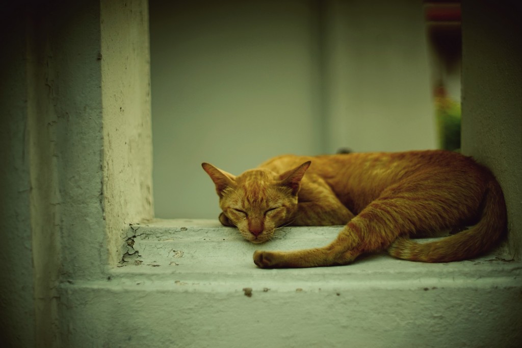 Bangkok