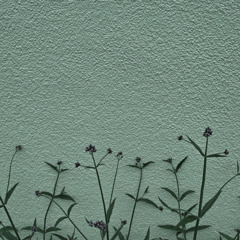 上を向いて
