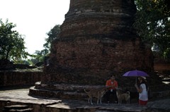 Ayutthaya04