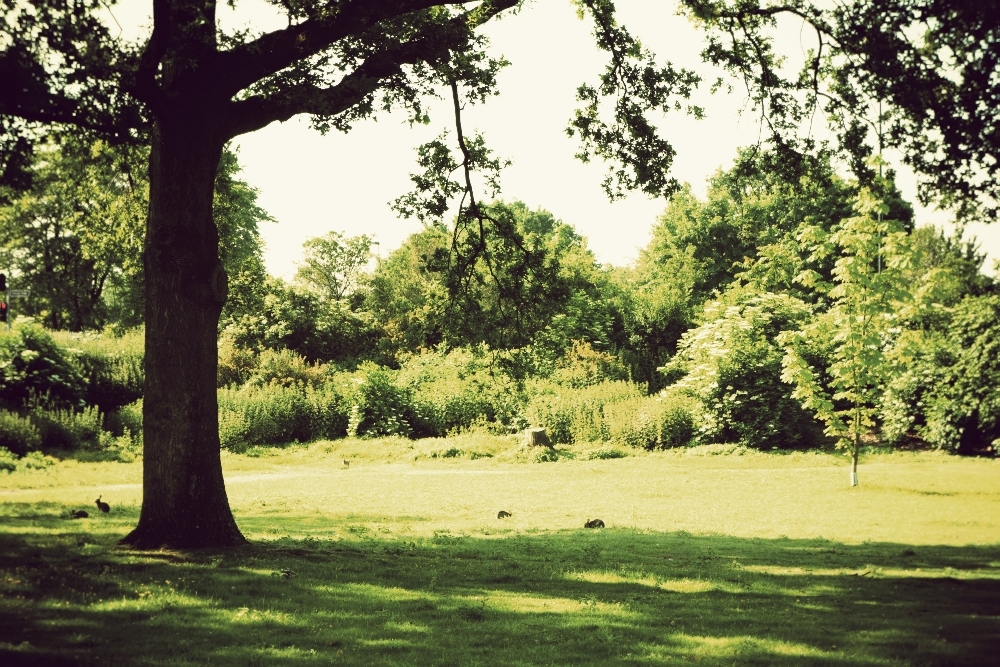 Dusseldorf