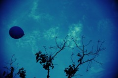 Lone