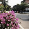 Vientiane, Laos