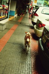 Bangkok