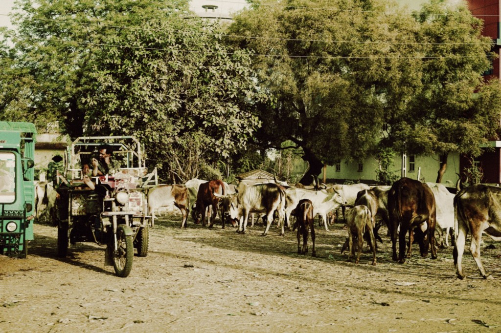 Ahmedabad, India