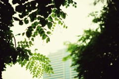 Bangkok
