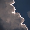 photo1288516