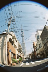 東京スカイツリーと電線