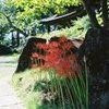 photo1473983