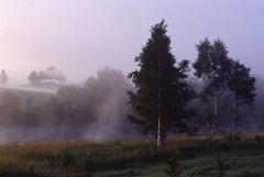 Morning mist