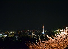 春と京都タワー