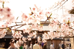 花のれん