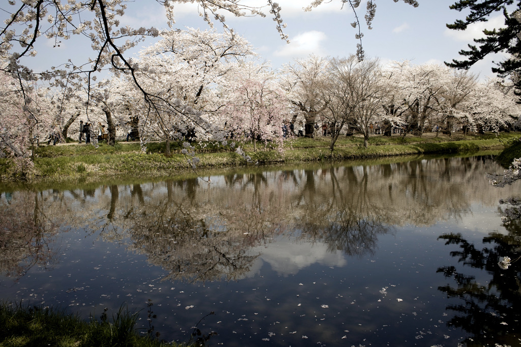弘前公園２