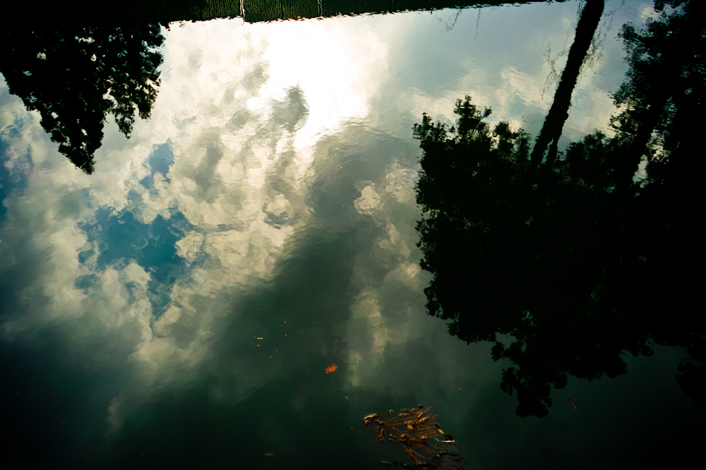 20120407-SDIM0013