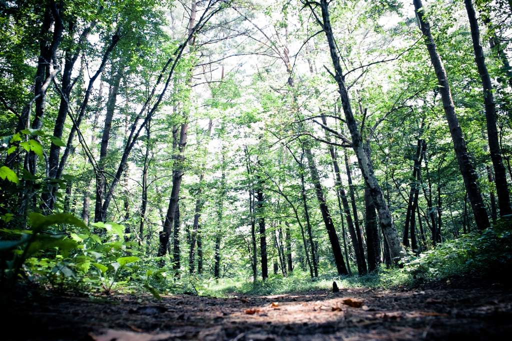 20120819-SDIM0088