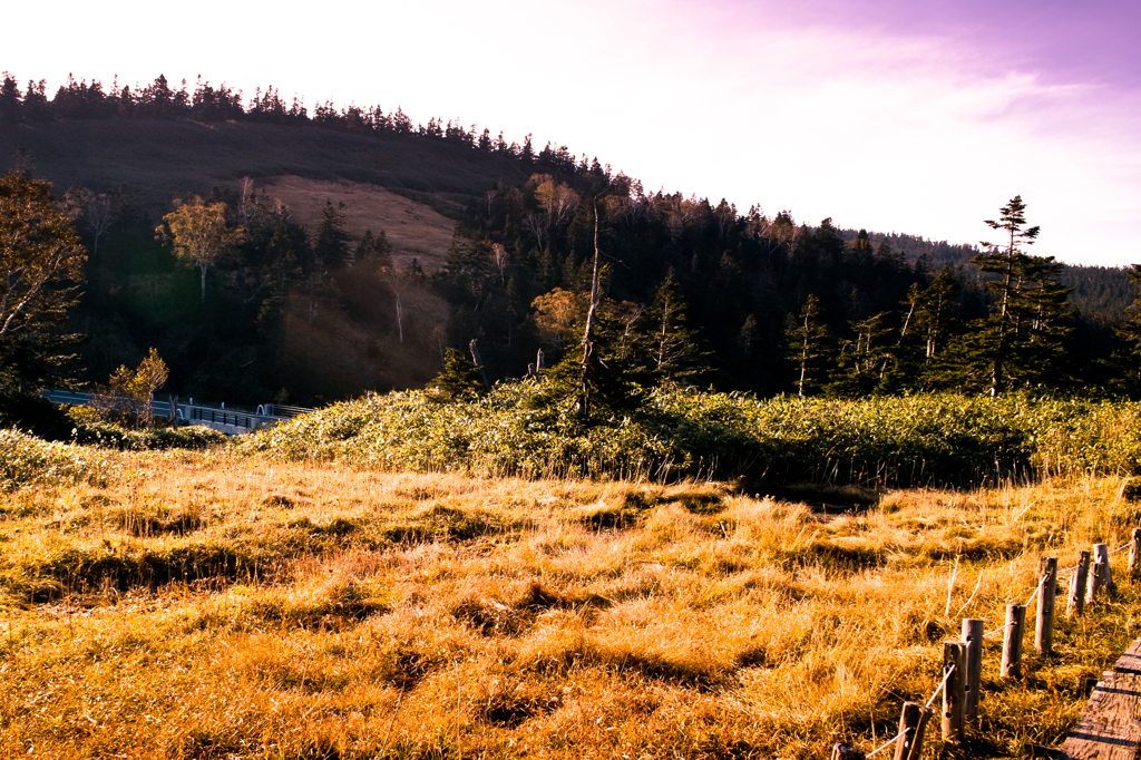 20111009-SDIM0630