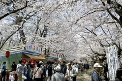 弘前公園内の露店