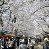 弘前公園内の露店