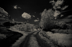 20110718-IMGP9015