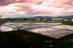 田植え後夕景