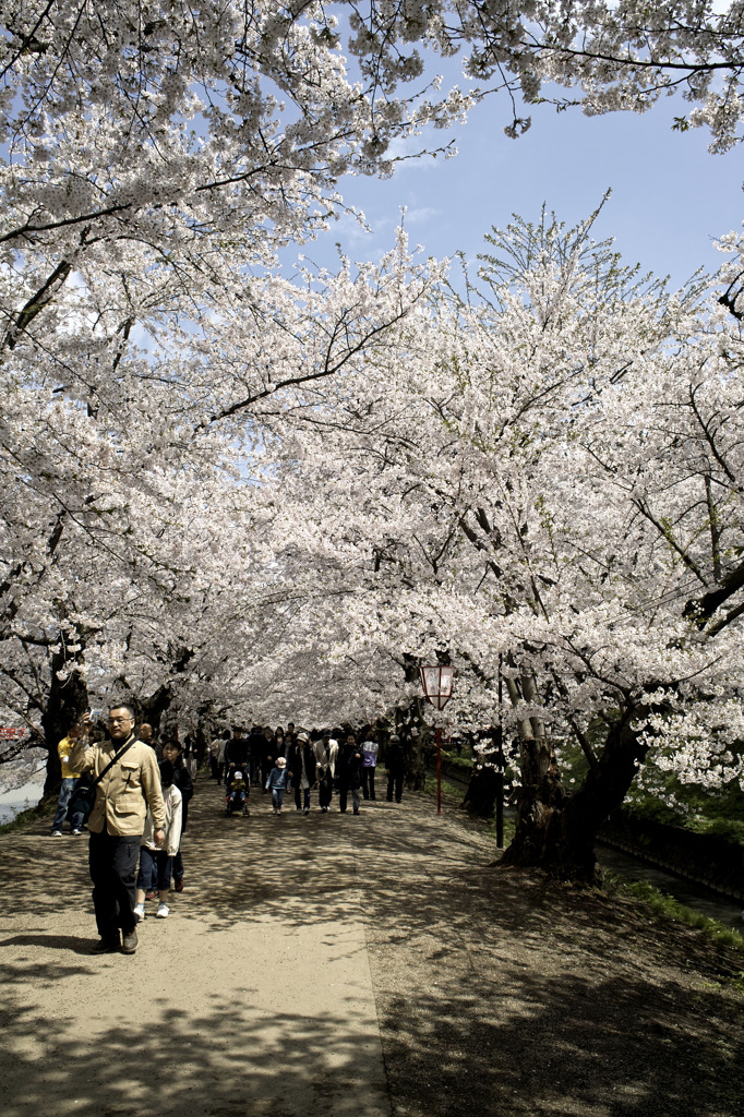 弘前公園３