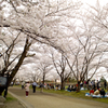 岩手公園