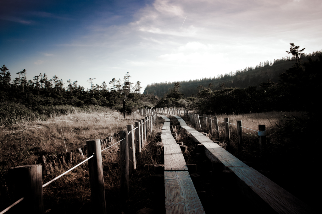 20111009-SDIM0637